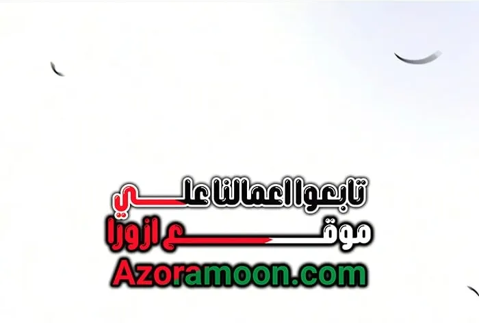 الصفحة 20 من 68