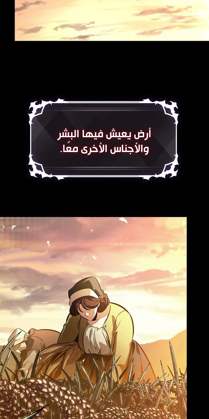 الصفحة 56 من 147