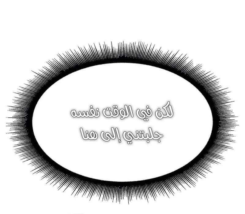 الصفحة 26 من 147