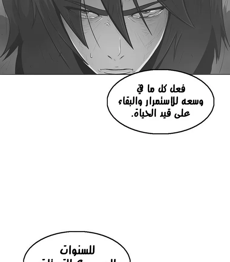 الصفحة 28 من 135