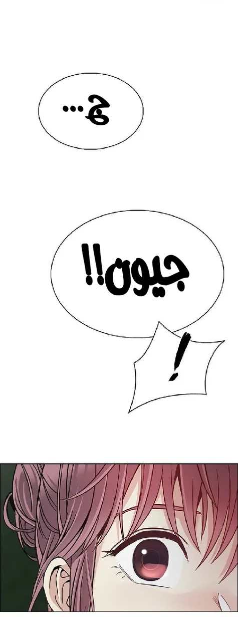 الصفحة 41 من 97