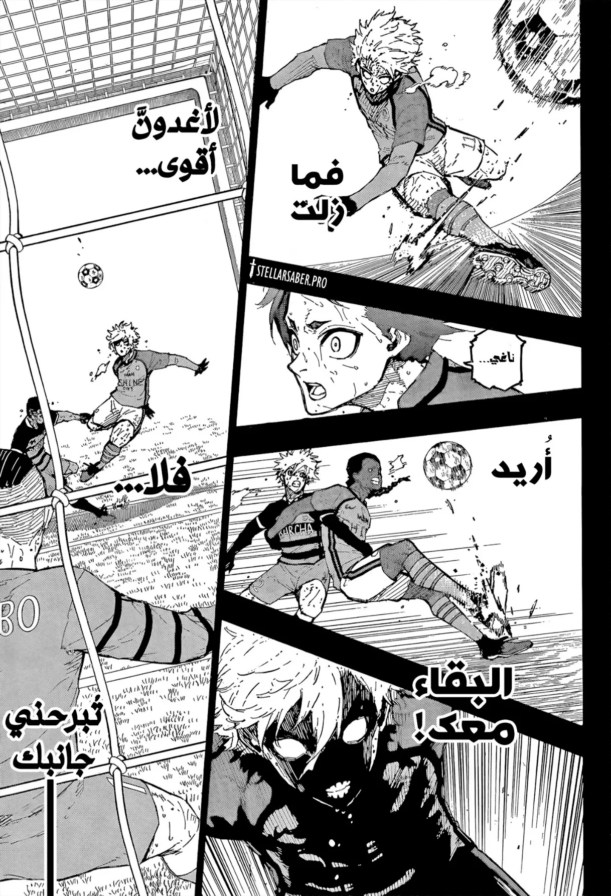 الصفحة 9 من 19