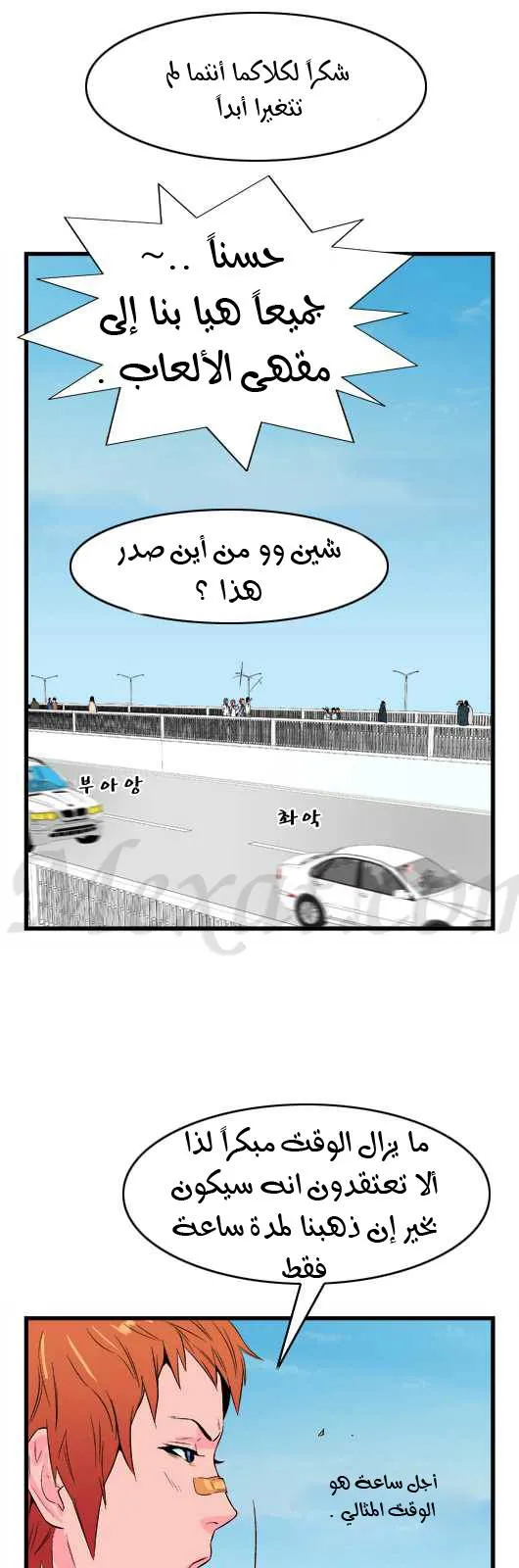 الصفحة 13 من 30