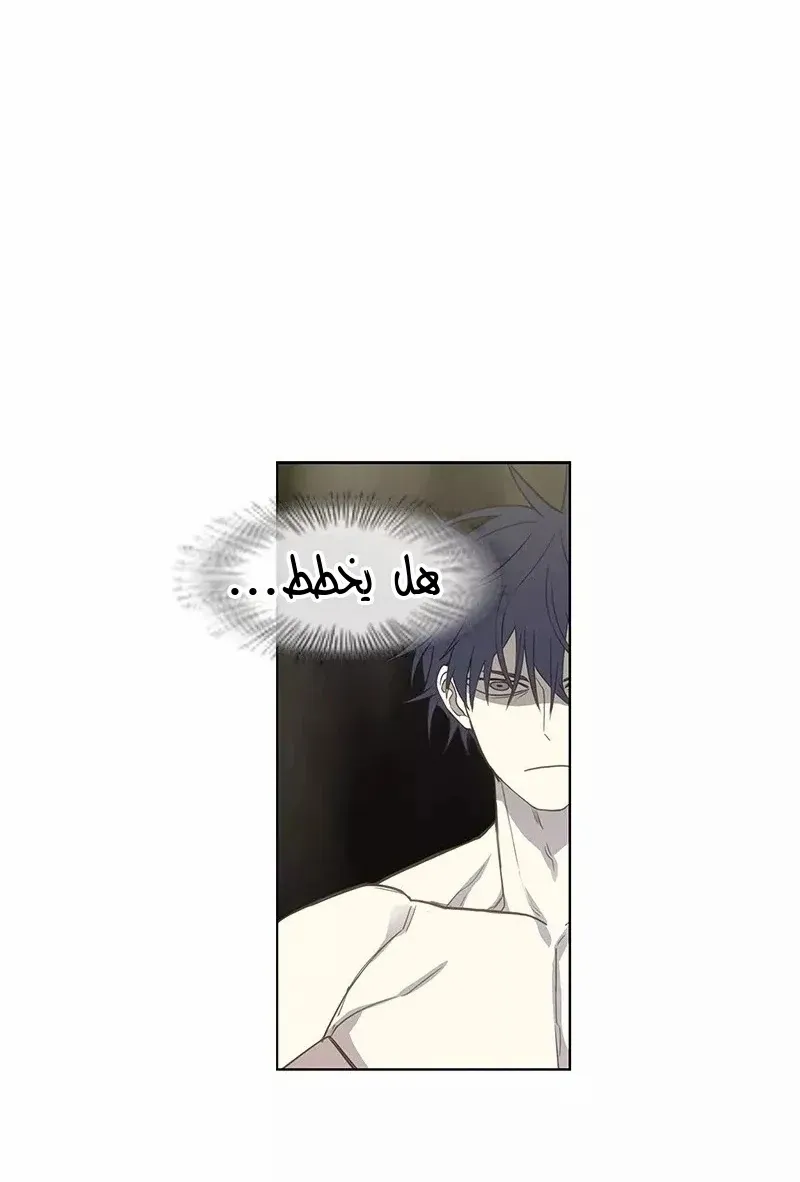 الصفحة 66 من 73
