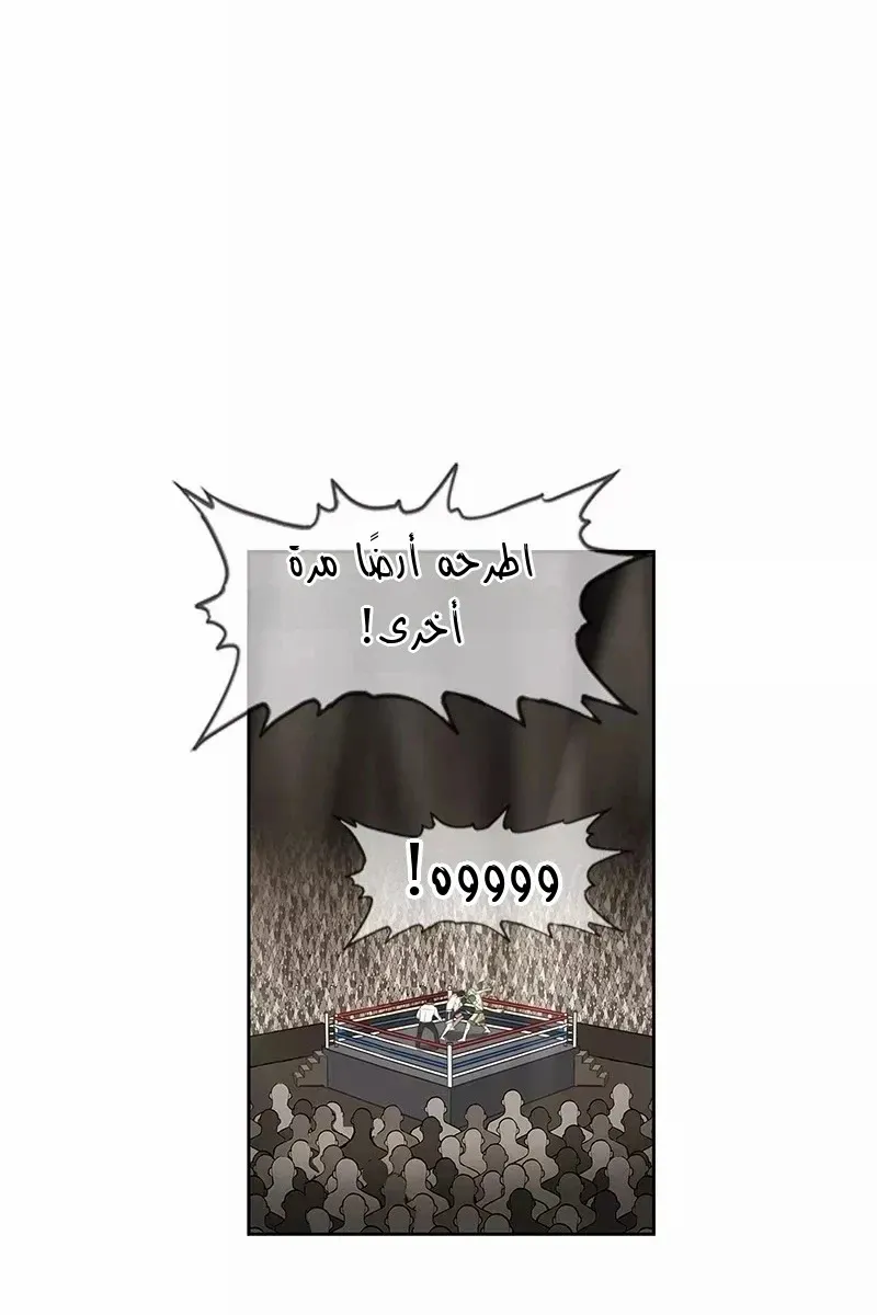 الصفحة 26 من 73