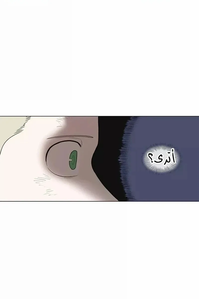 الصفحة 56 من 73