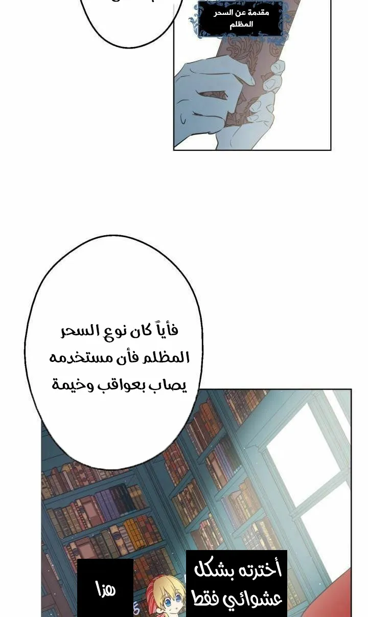 الصفحة 41 من 54