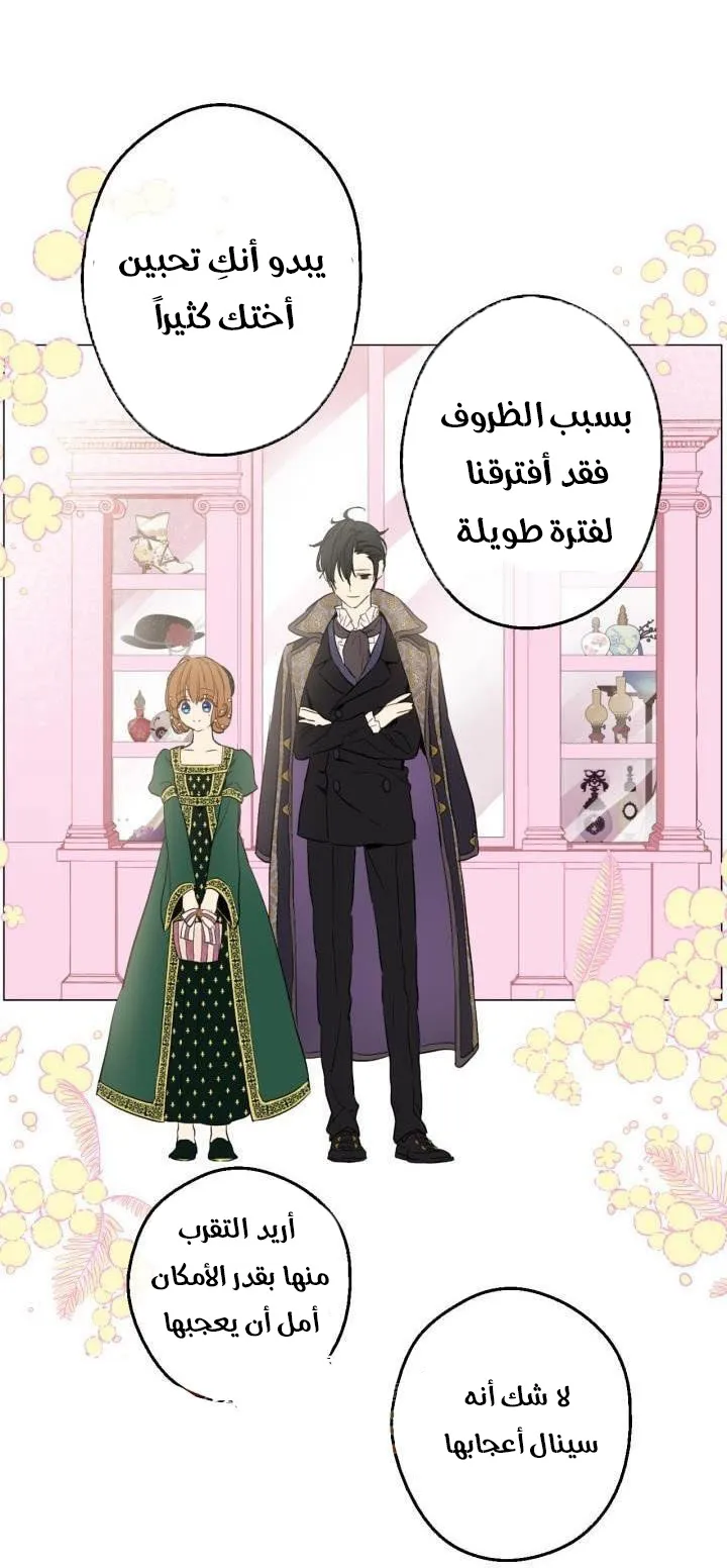 الصفحة 24 من 54