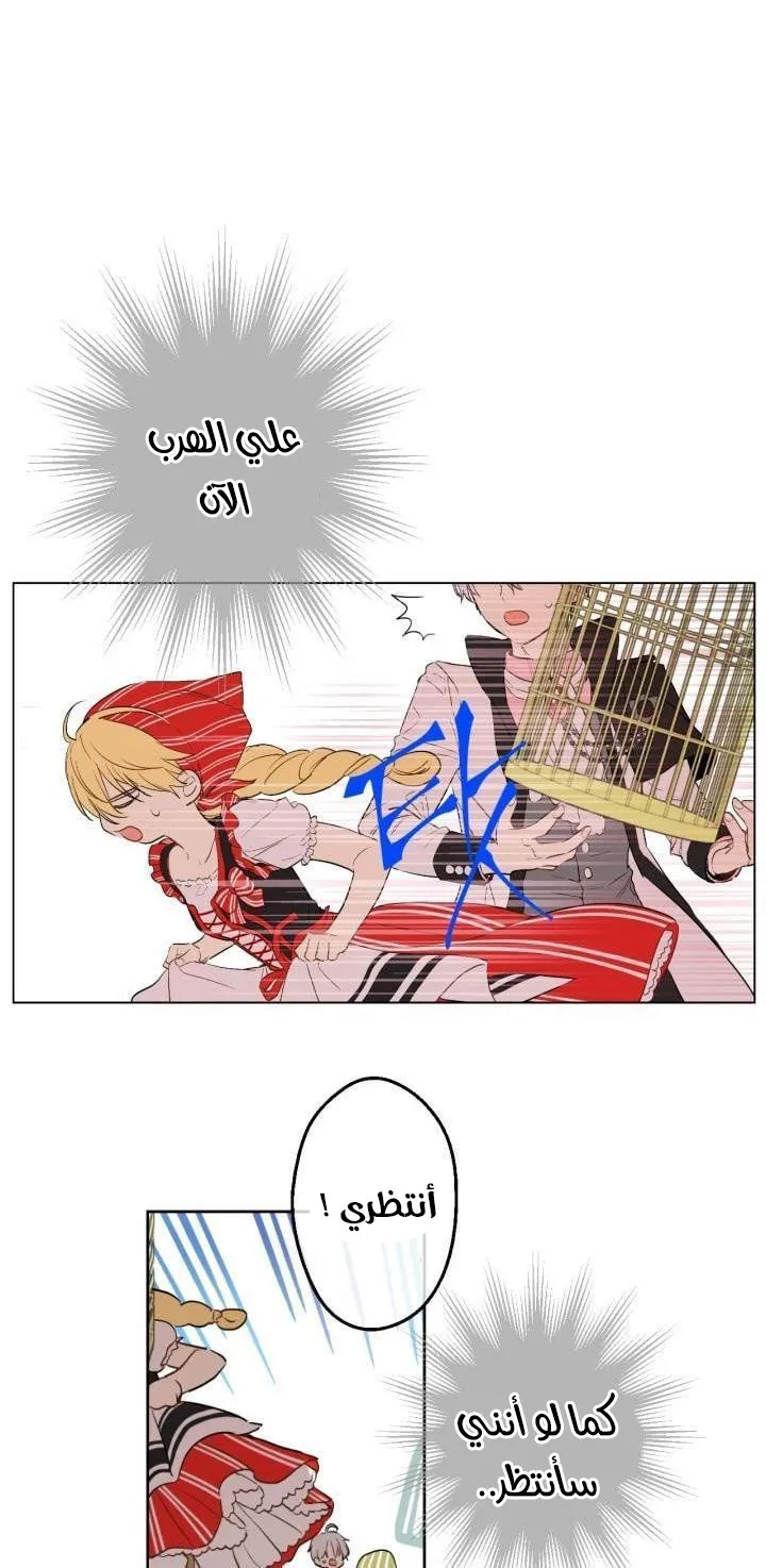 الصفحة 5 من 54