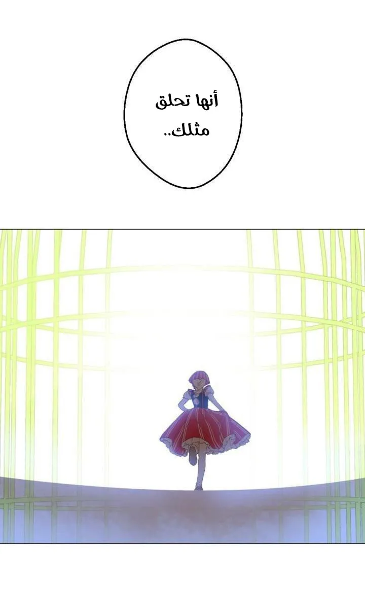 الصفحة 8 من 54