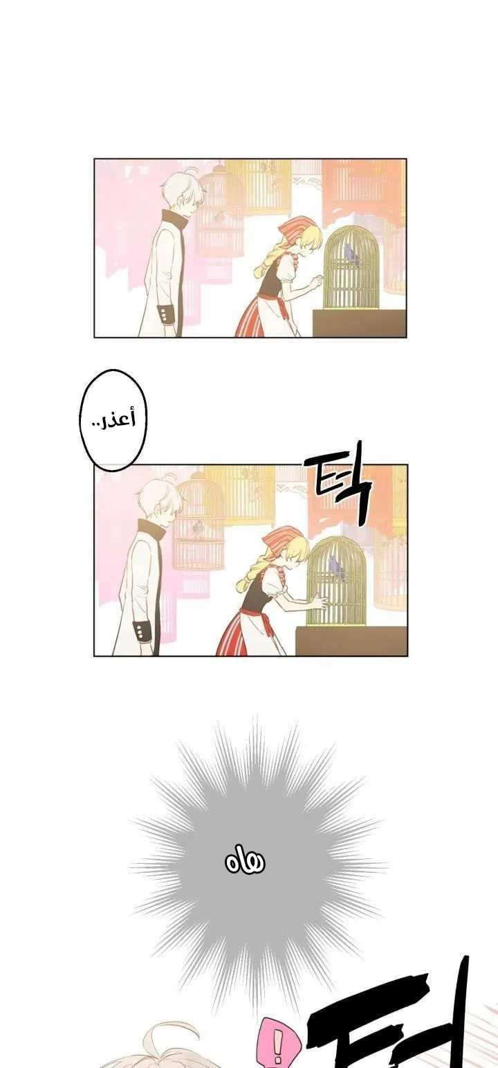 الصفحة 3 من 54