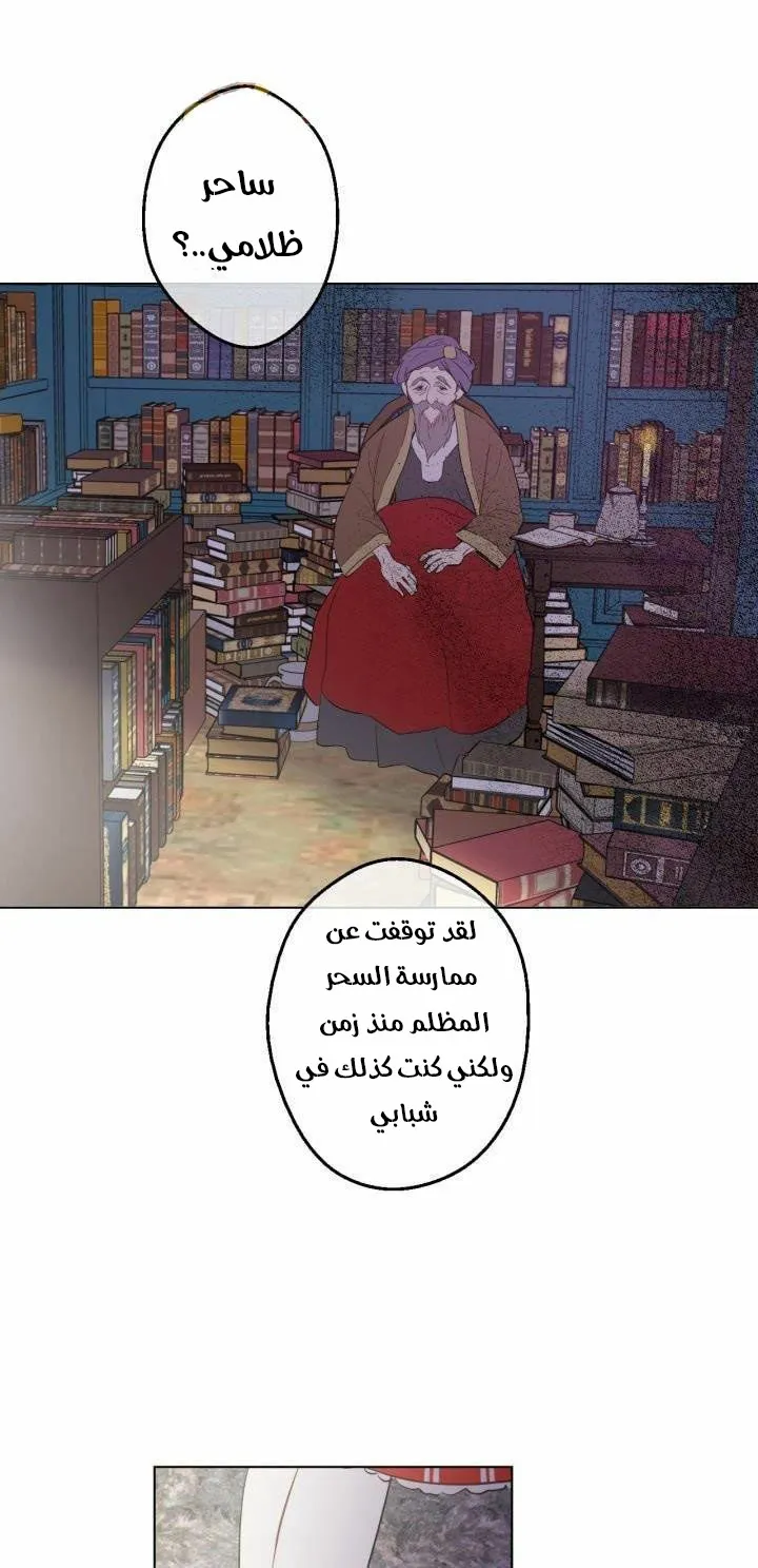 الصفحة 37 من 54