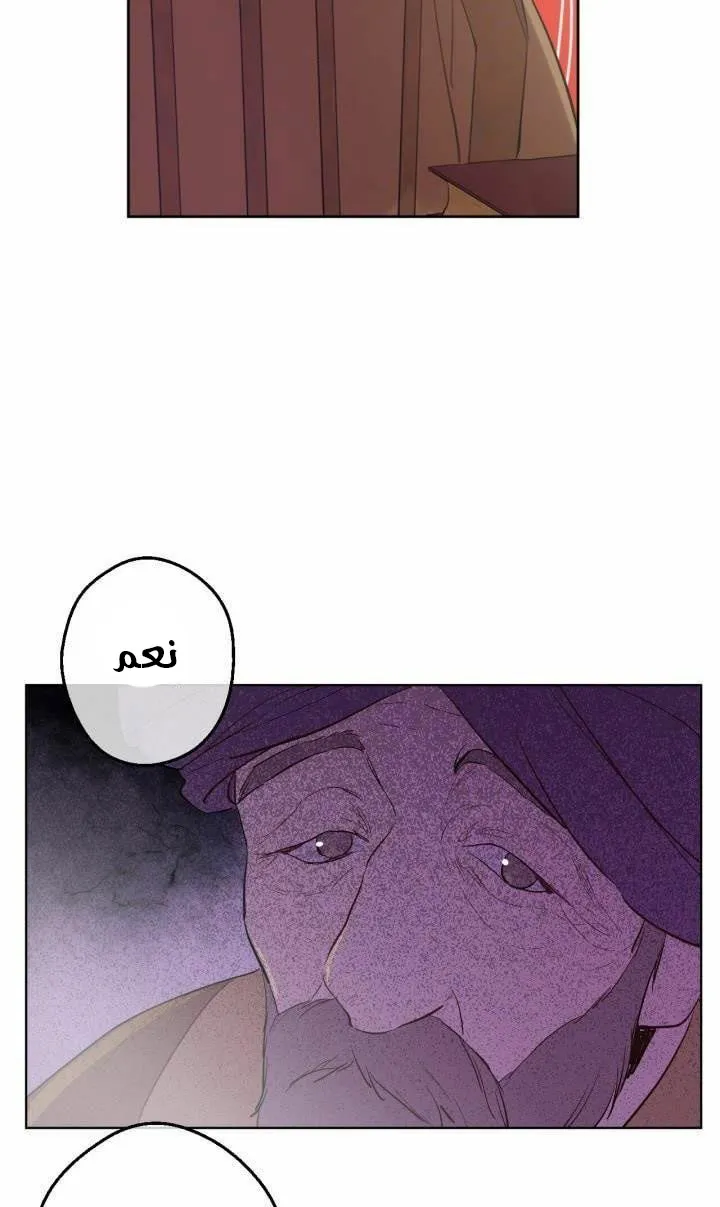 الصفحة 35 من 54
