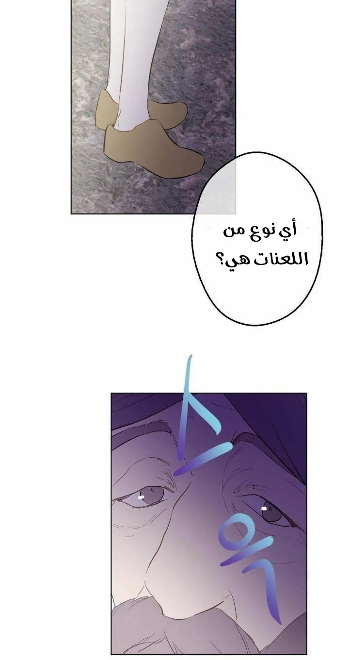 الصفحة 38 من 54