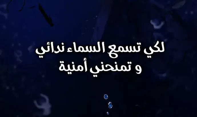 الصفحة 4 من 55