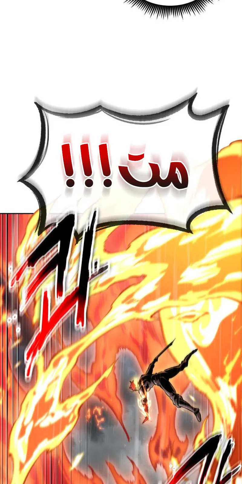 الصفحة 3 من 97
