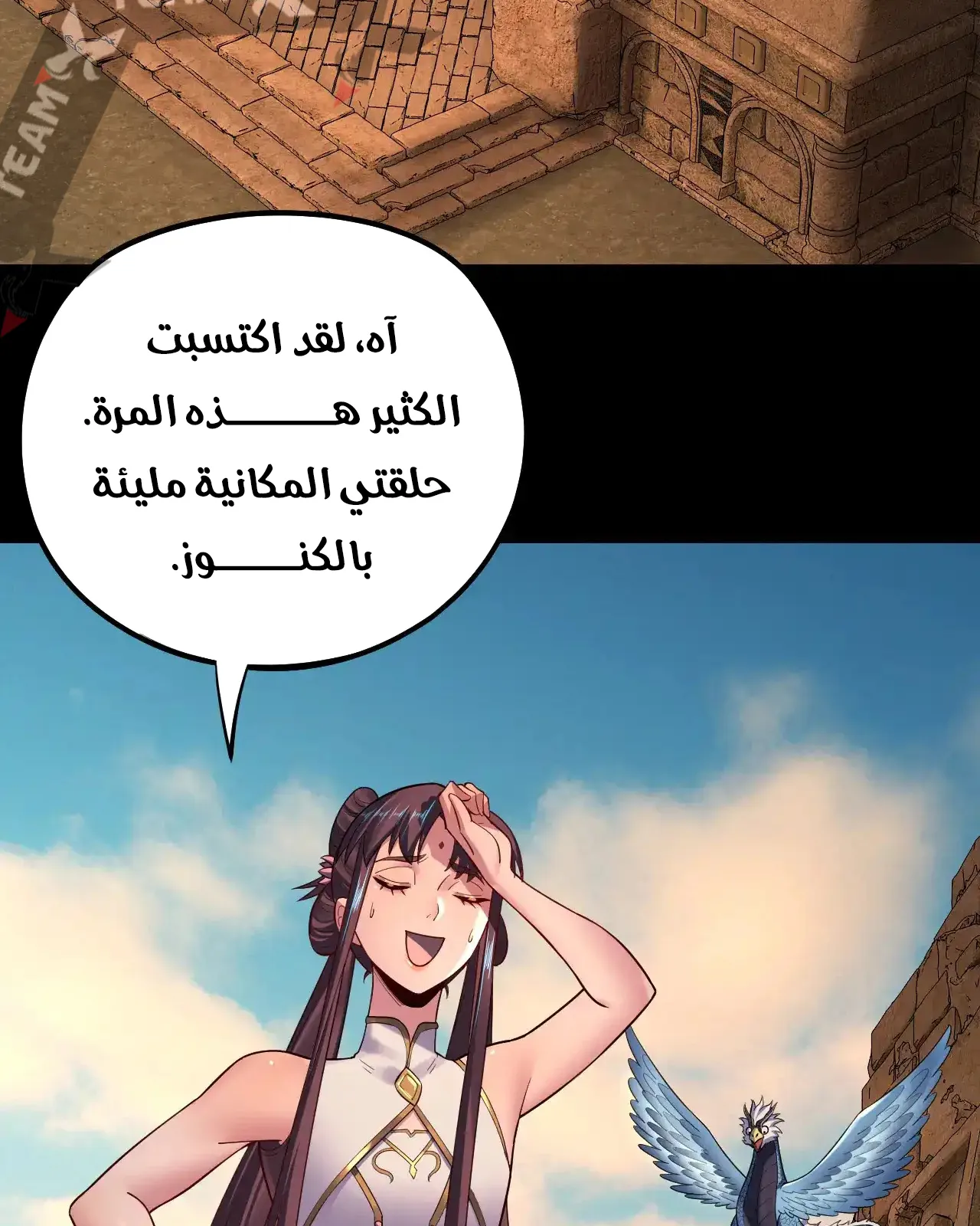 الصفحة 17 من 81