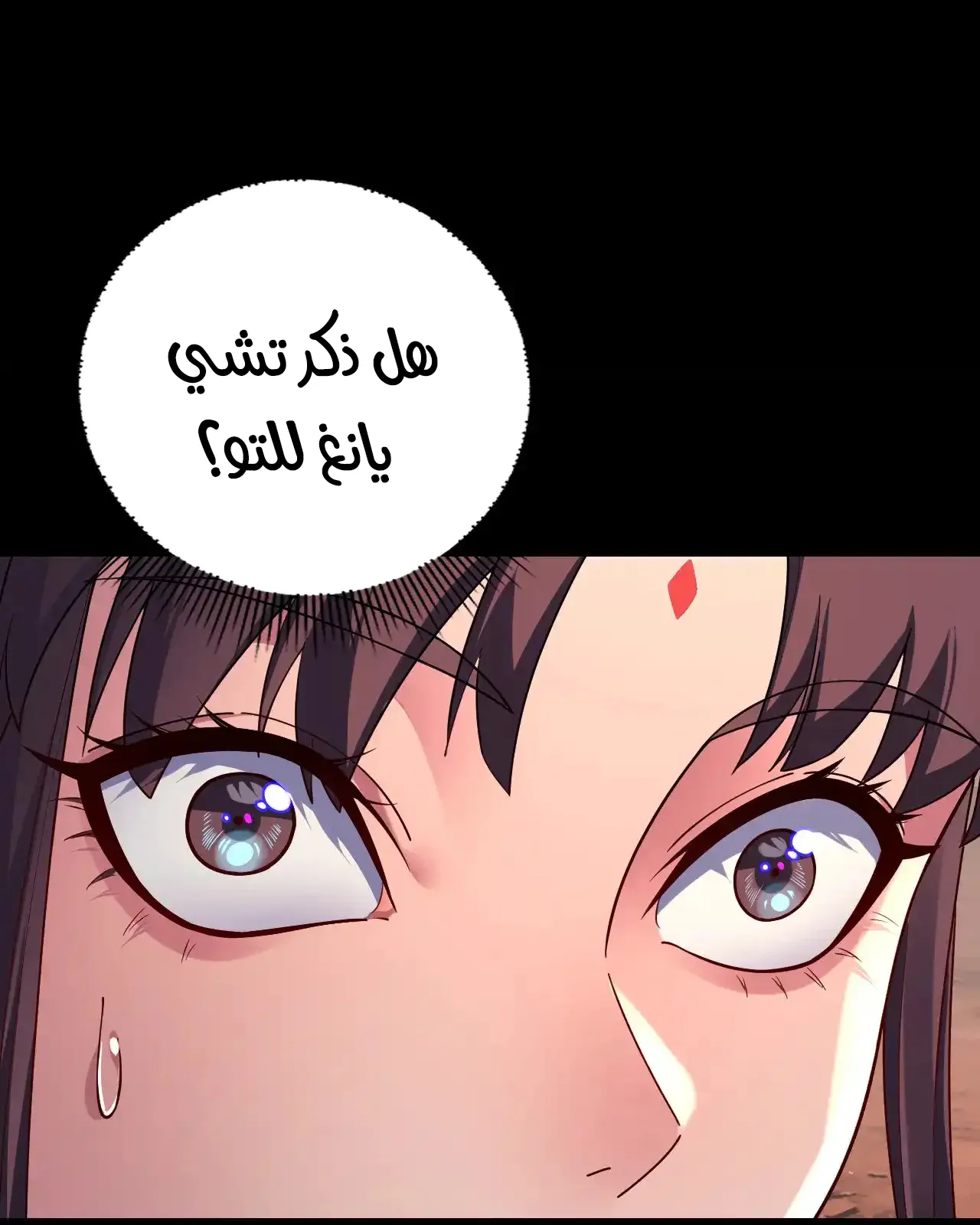 الصفحة 33 من 81