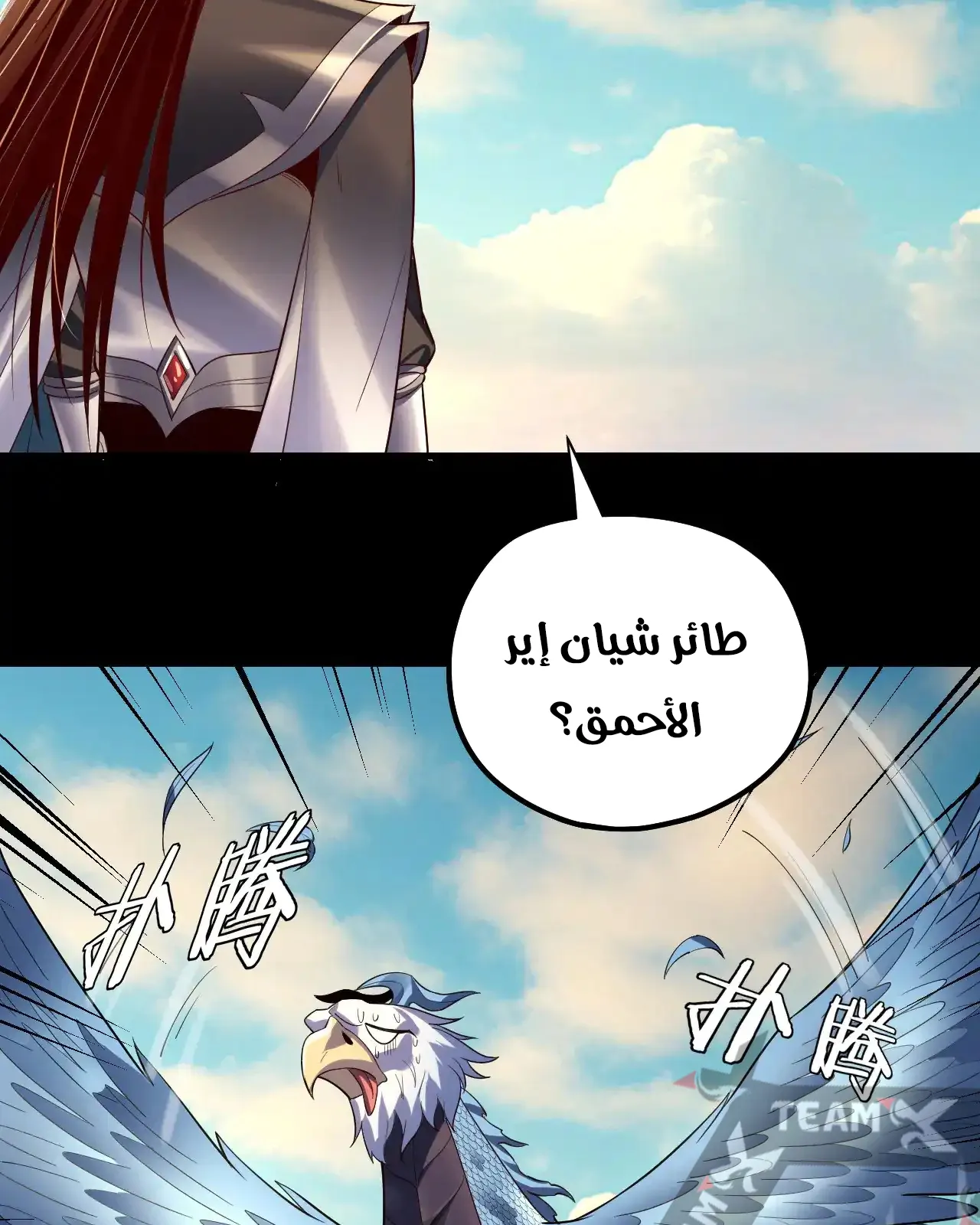 الصفحة 44 من 81