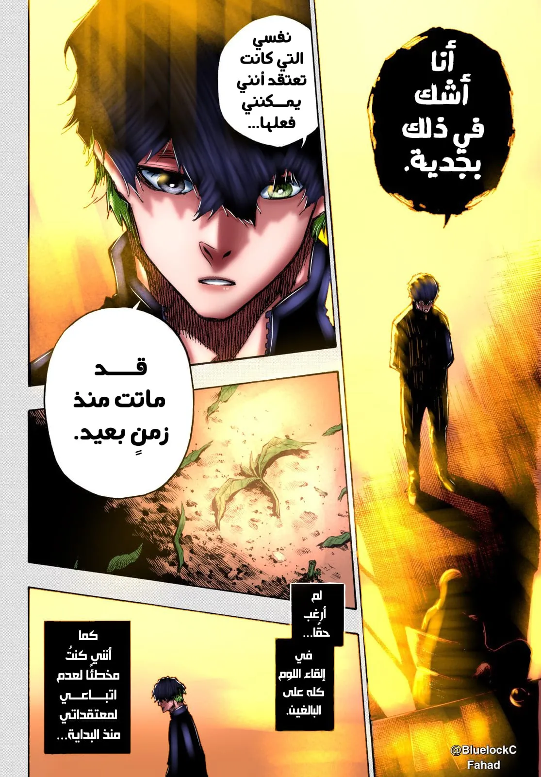 الصفحة 11 من 26
