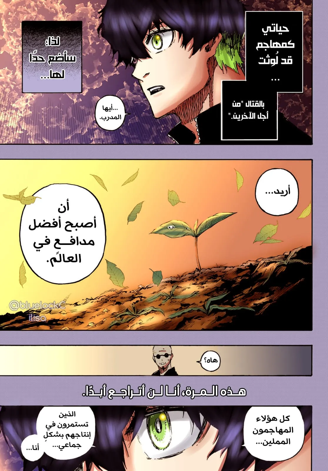 الصفحة 13 من 26