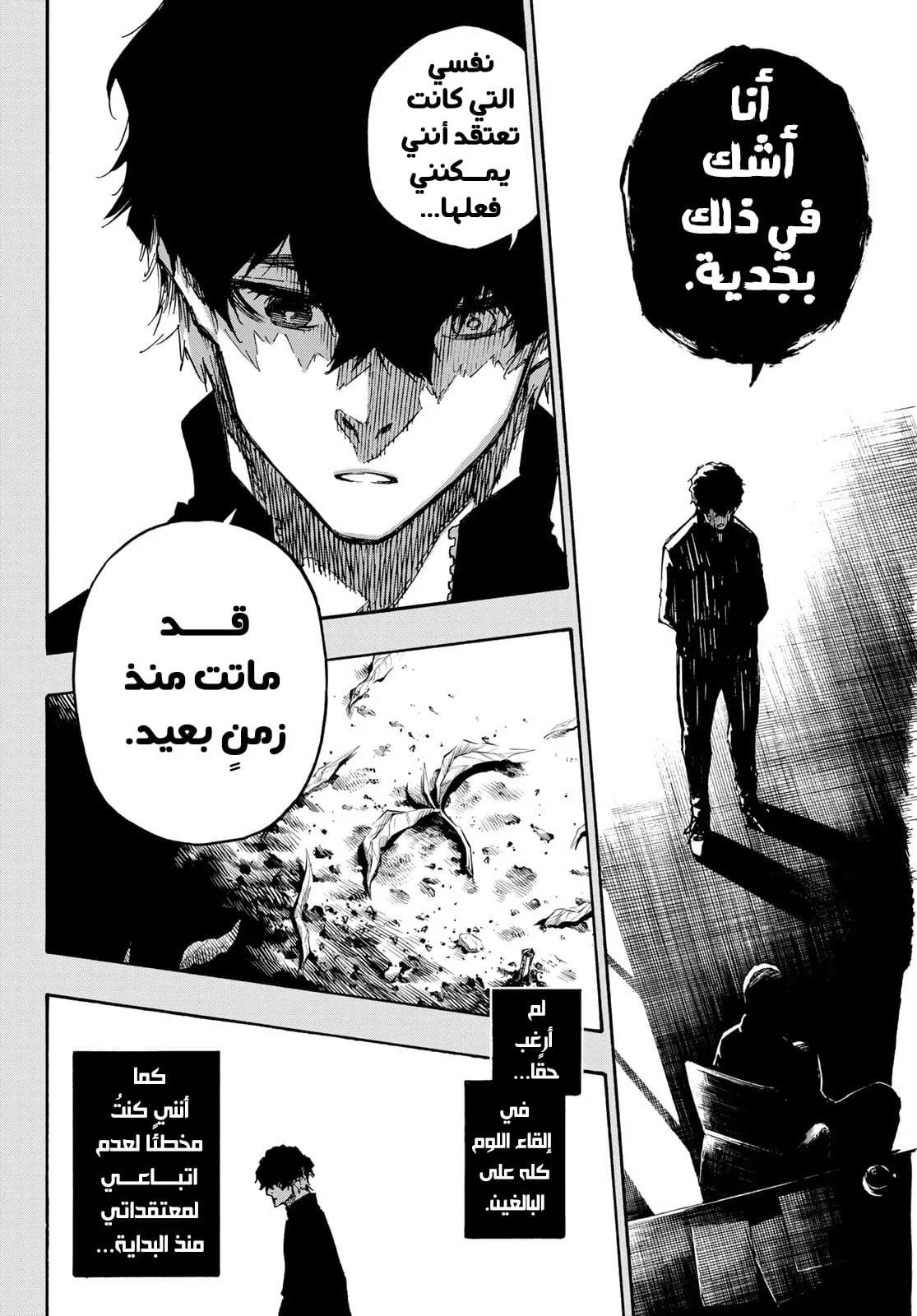 الصفحة 12 من 26