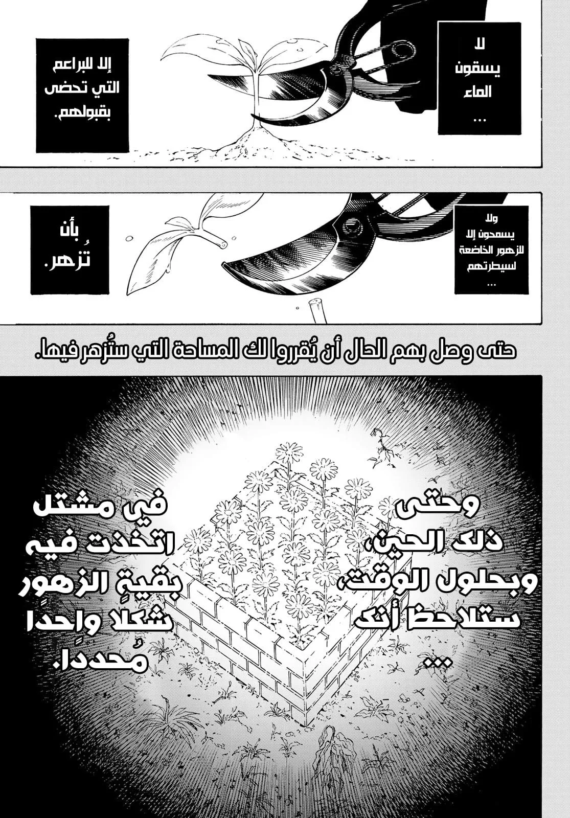 الصفحة 8 من 26