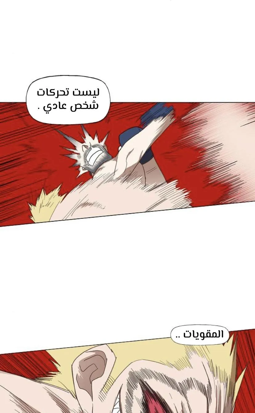 الصفحة 33 من 91