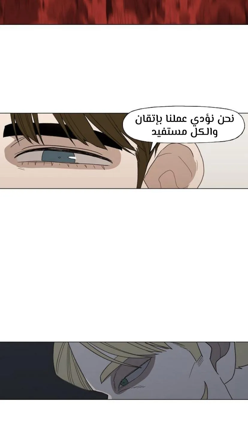 الصفحة 55 من 91