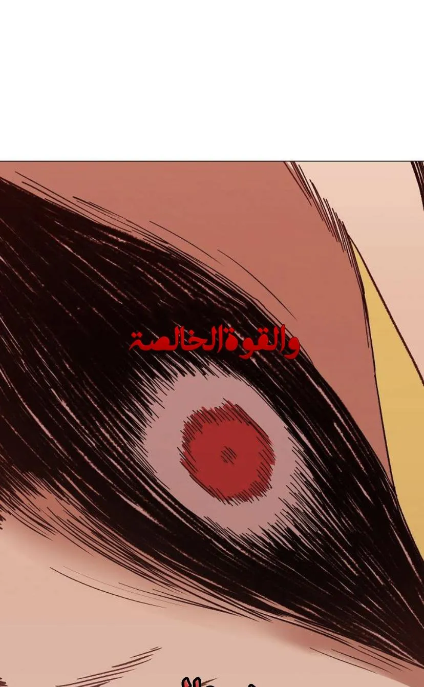 الصفحة 31 من 91