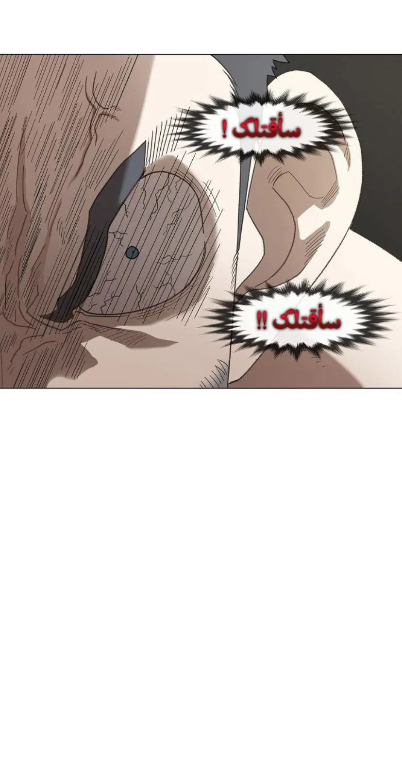 الصفحة 19 من 91