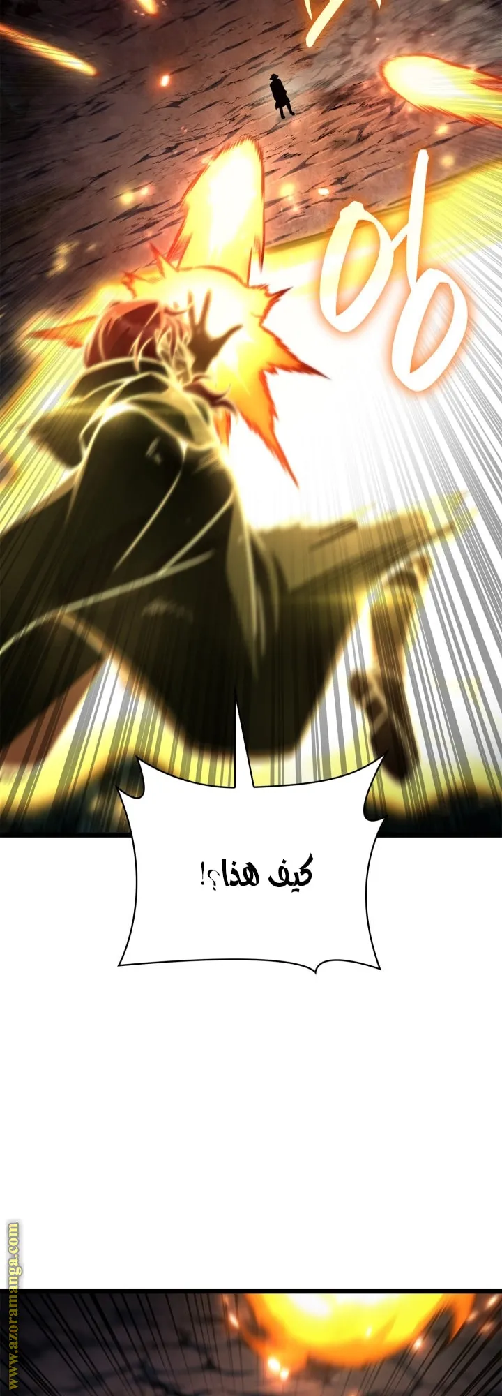 الصفحة 42 من 81
