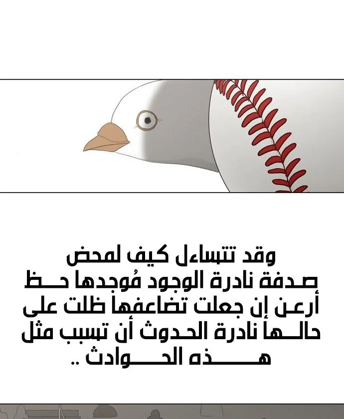 الصفحة 81 من 100
