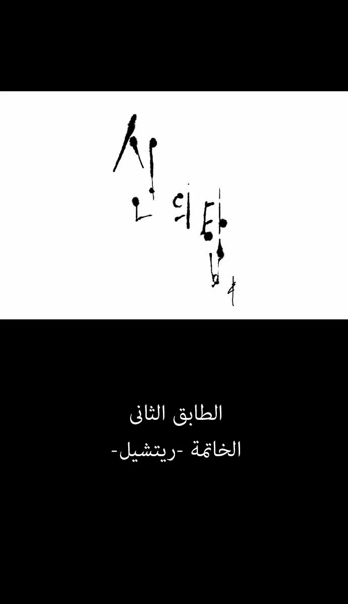 الصفحة 17 من 42