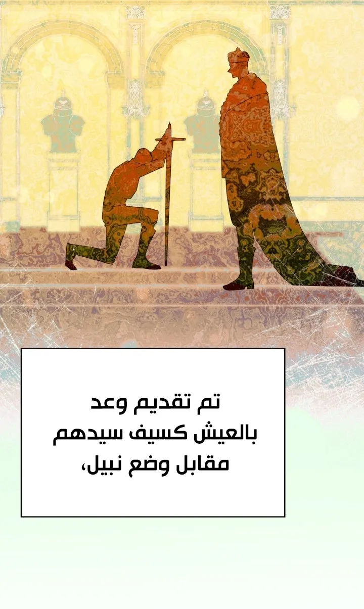 الصفحة 35 من 81