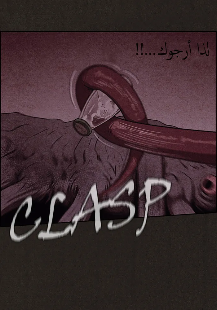 الصفحة 45 من 88