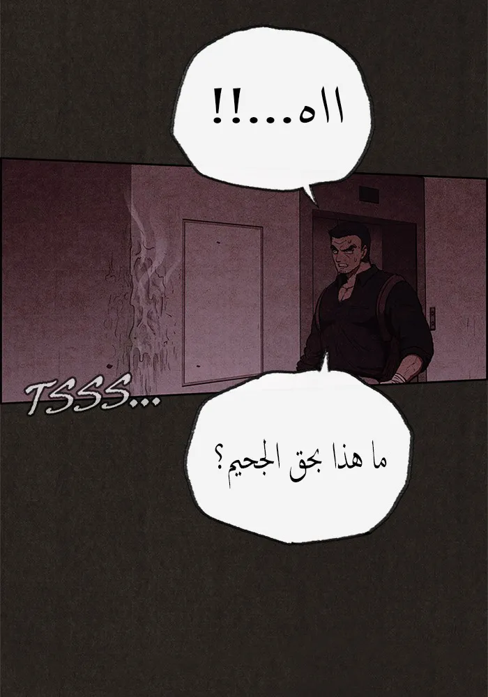 الصفحة 14 من 88