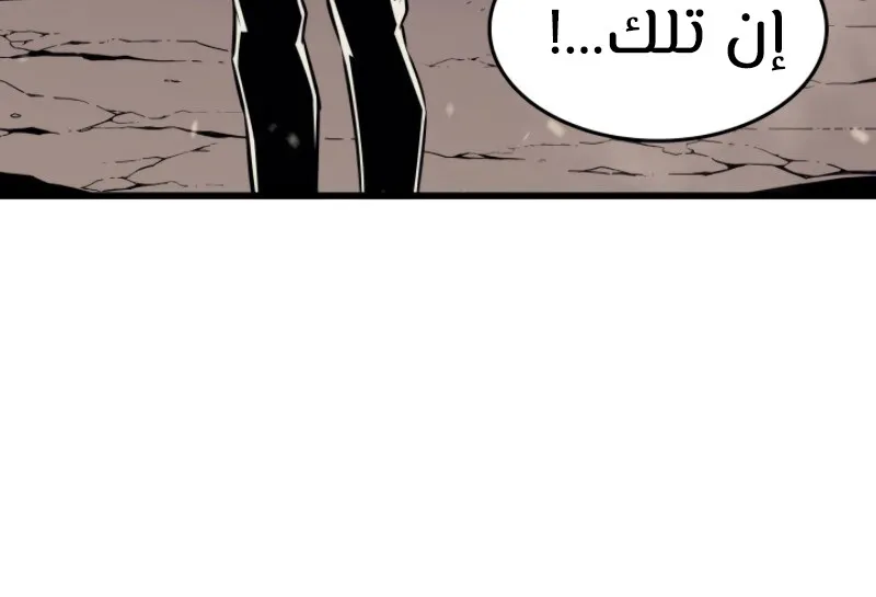 الصفحة 68 من 81