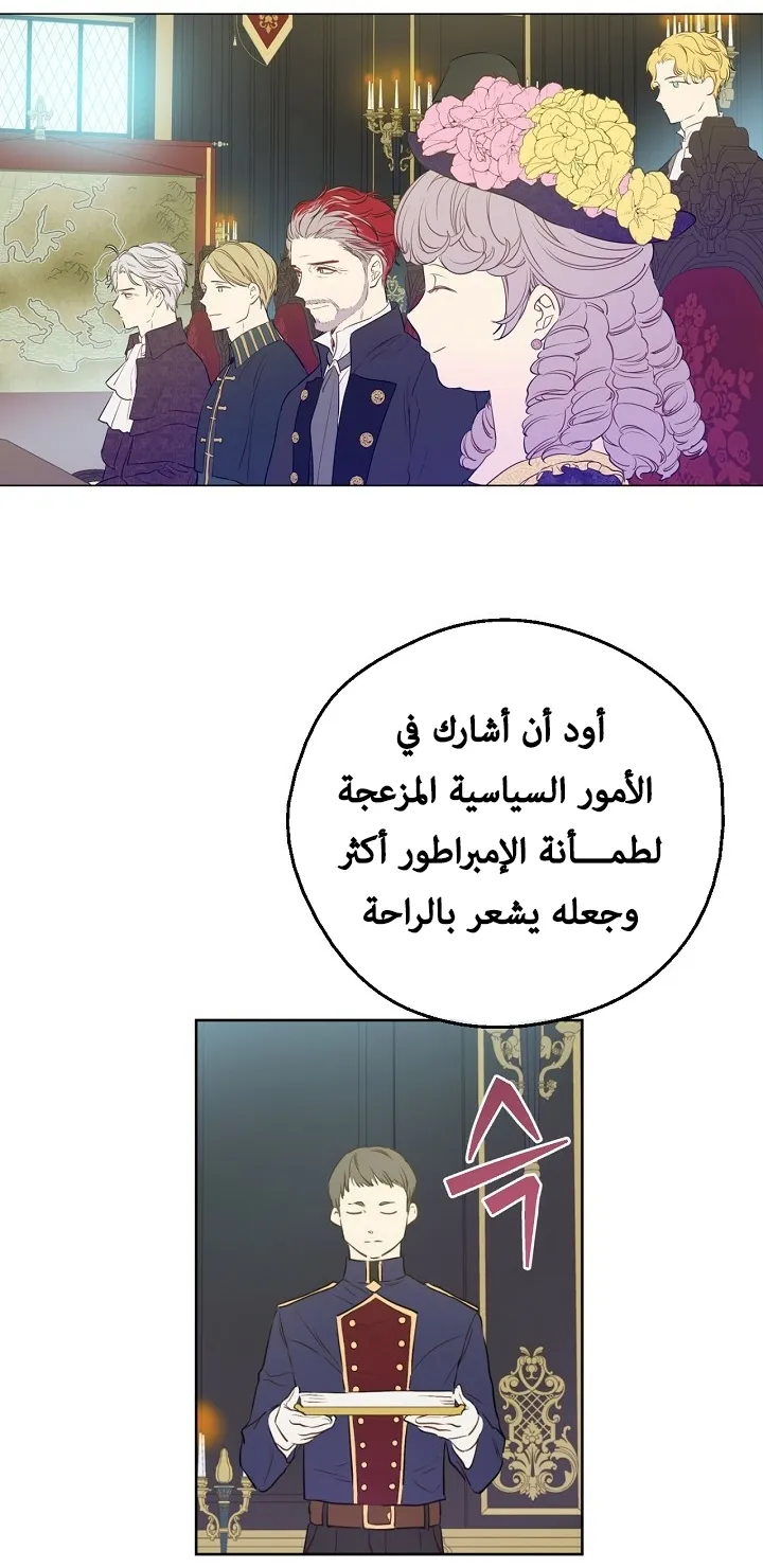 الصفحة 48 من 73