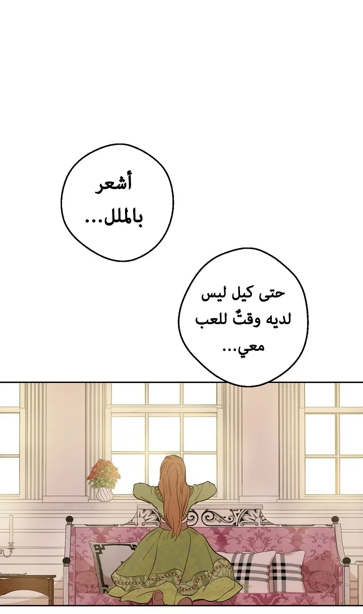 الصفحة 5 من 73