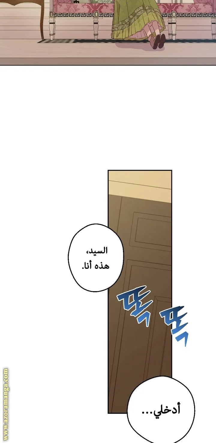 الصفحة 19 من 73
