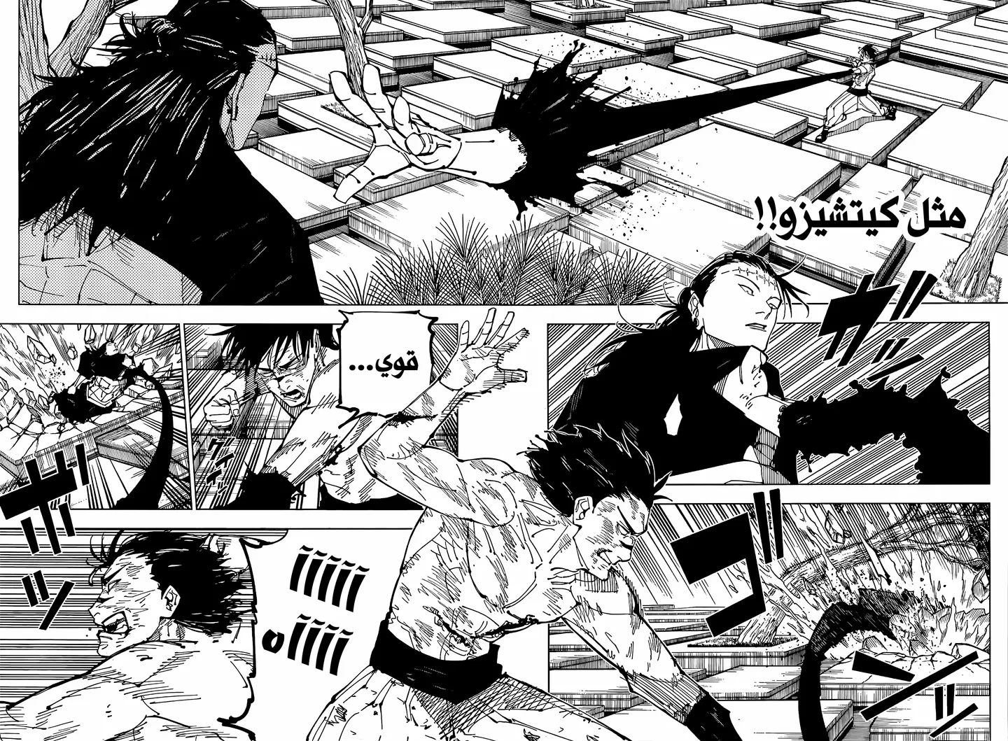 الصفحة 12 من 18