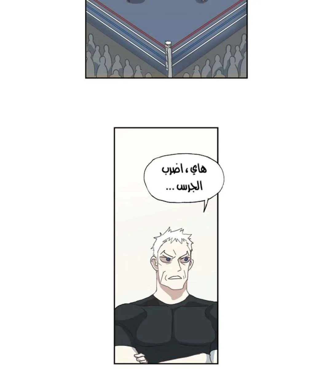 الصفحة 38 من 63