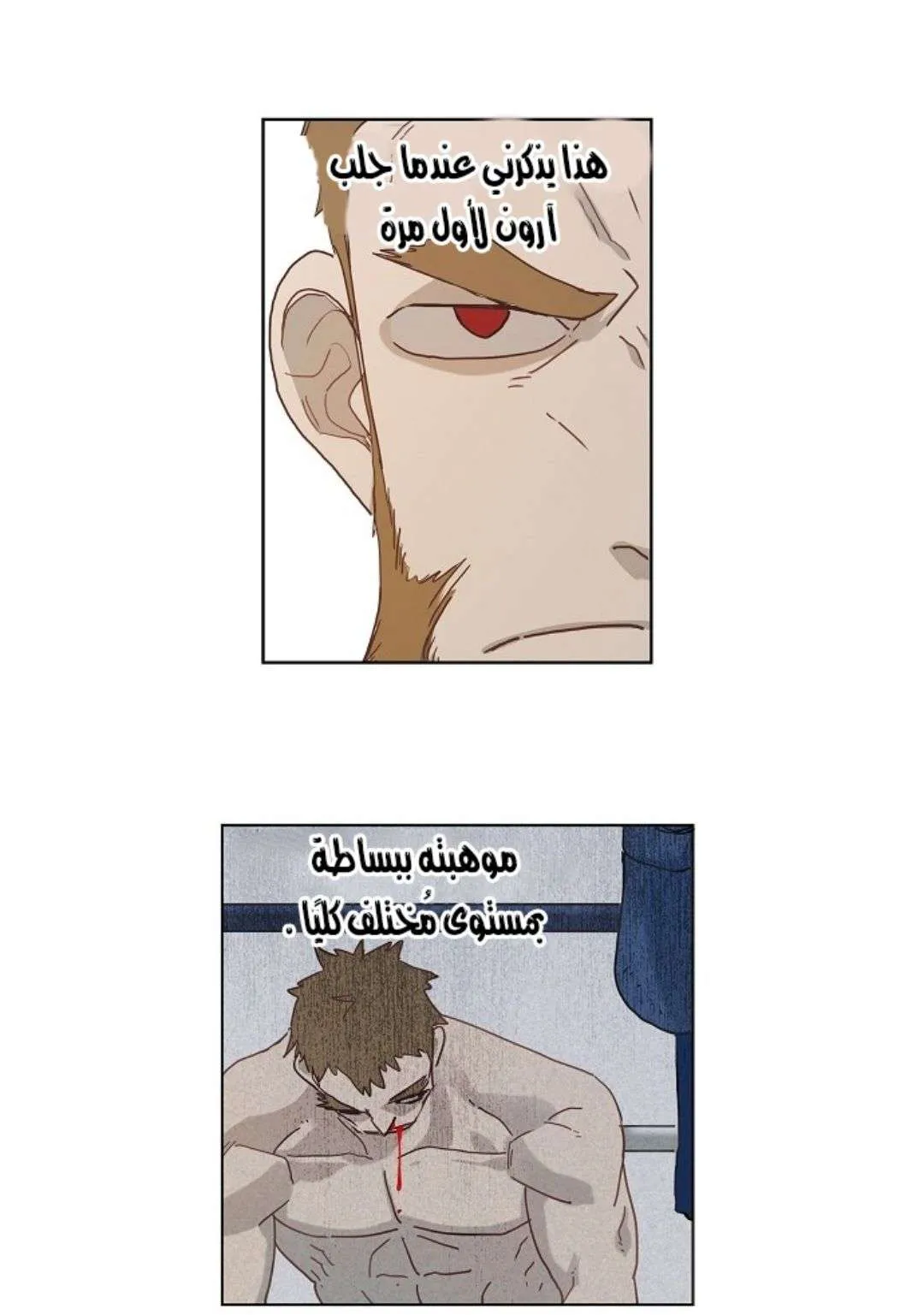 الصفحة 31 من 63