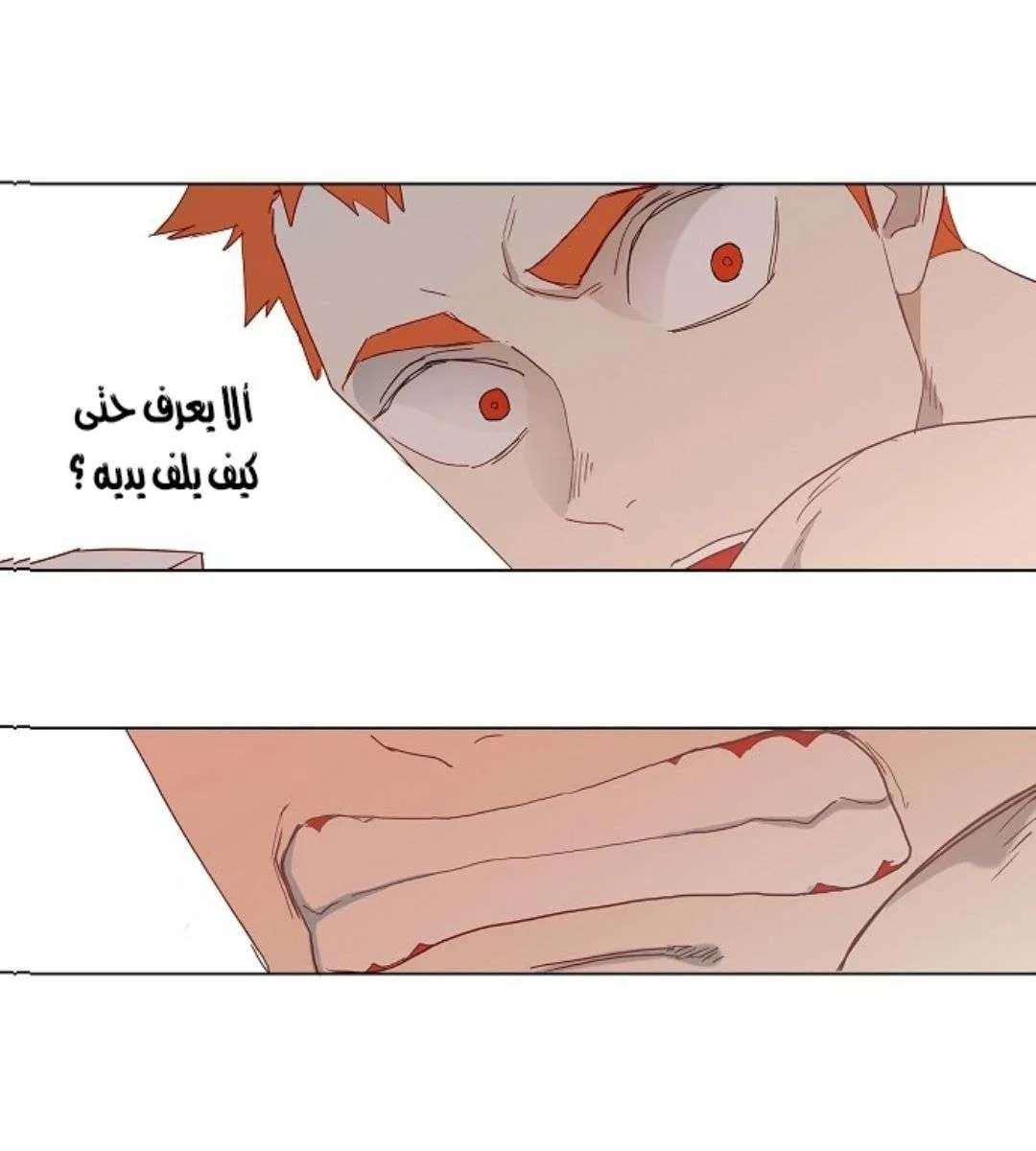 الصفحة 28 من 63