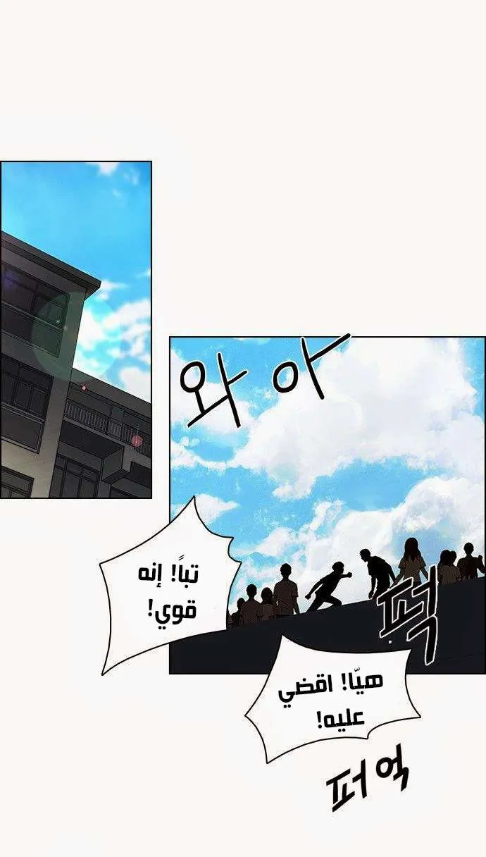 الصفحة 11 من 38