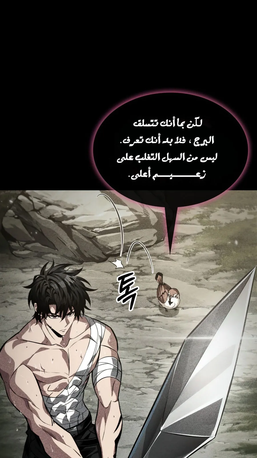الصفحة 31 من 124