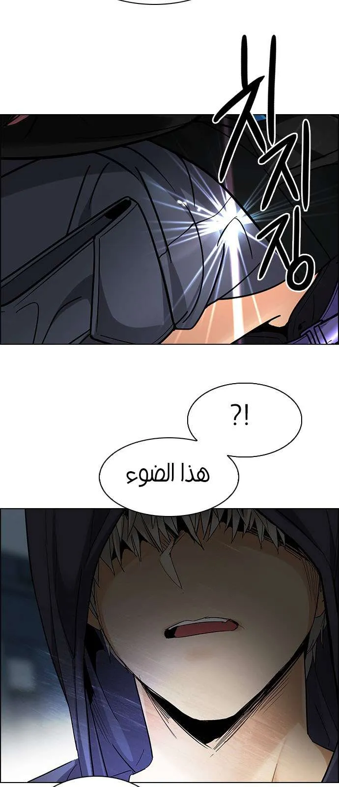 الصفحة 24 من 66