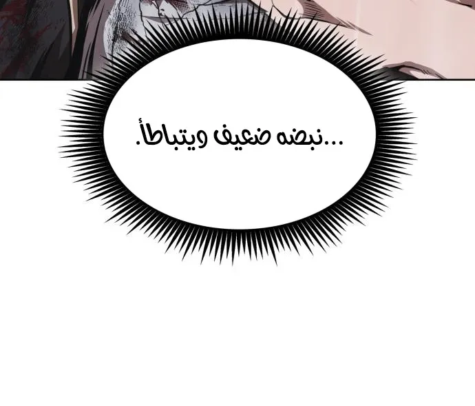 الصفحة 36 من 80