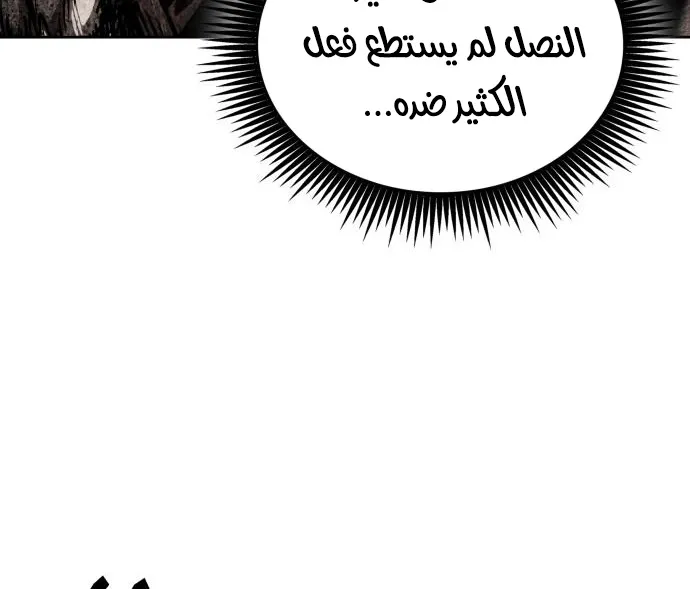 الصفحة 28 من 80